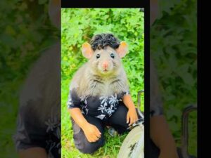 Ayan to rat 🐀 hai 🤯 ICC Women’s T20 World Cup 2026 | #comedy​ #funny​ #shorts​ #ytshorts​
